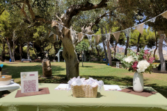 IMG_20250719_133707-scaled